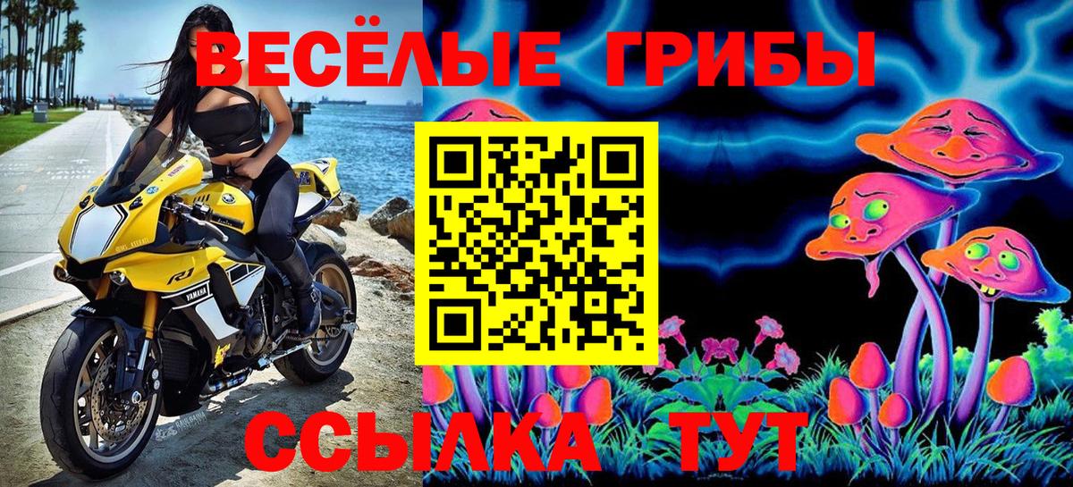 Галлюциногенные грибы прущие грибы Верхняя Пышма