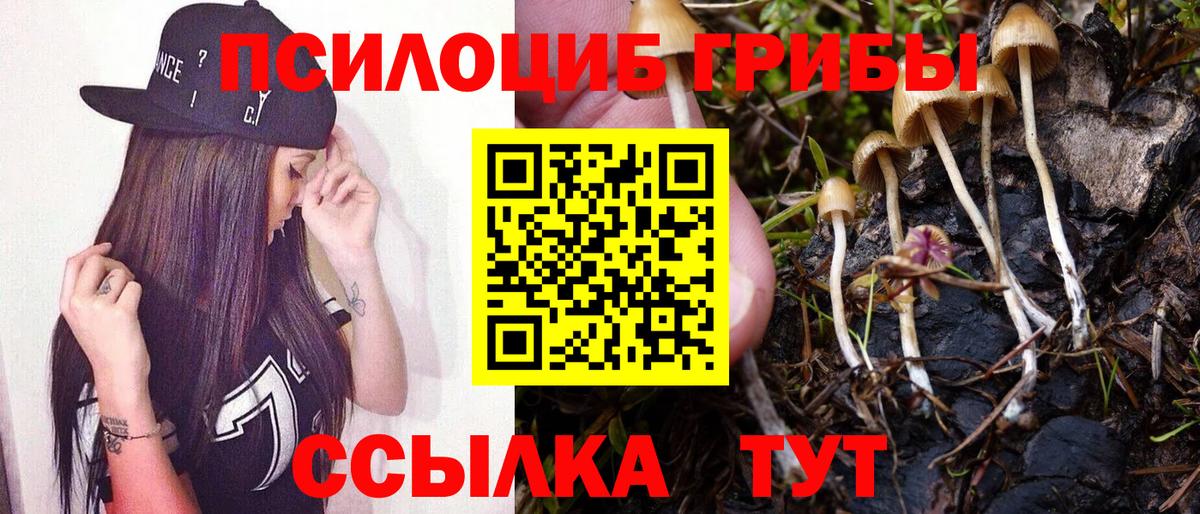 цены   Галлюциногенные грибы прущие грибы  Вход с VPN  Верхняя Пышма 
